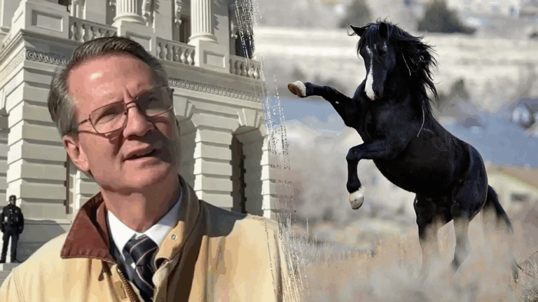 Republican congressman kicked by horse, breaks rib during farm accident