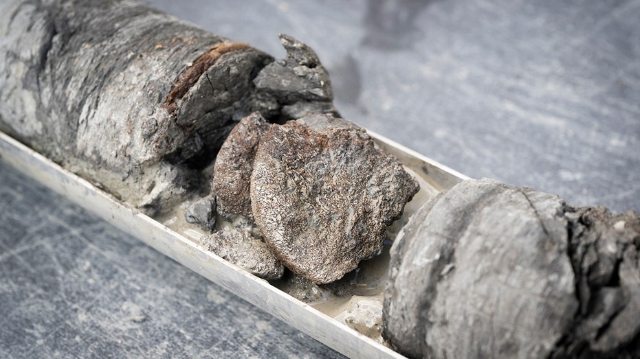 Museum discovers rare 67-million-year-old dinosaur bone under its own parking lot