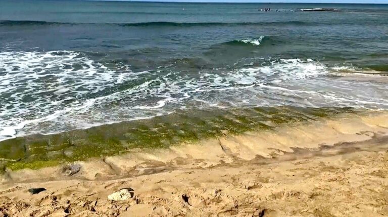 Ancient 'stick figures' on beach once again visible at tourist destination