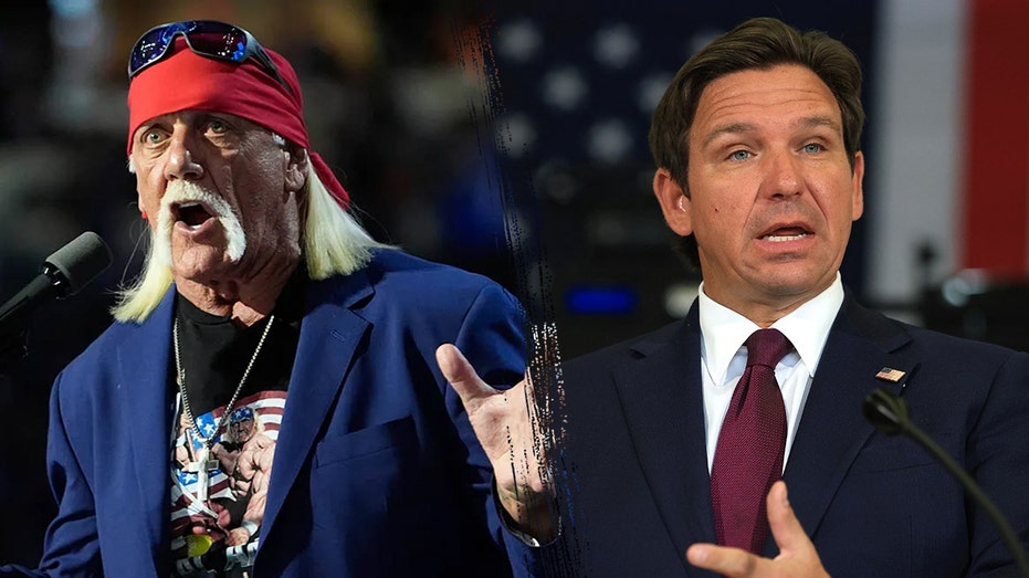 Heckler hijacks Florida governor's Hulk Hogan tribute with profane tirade against 'Alligator Alcatraz'