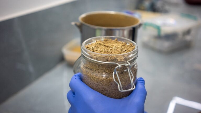 Veterans cross border for forbidden psychedelic treatment that's changing lives after combat