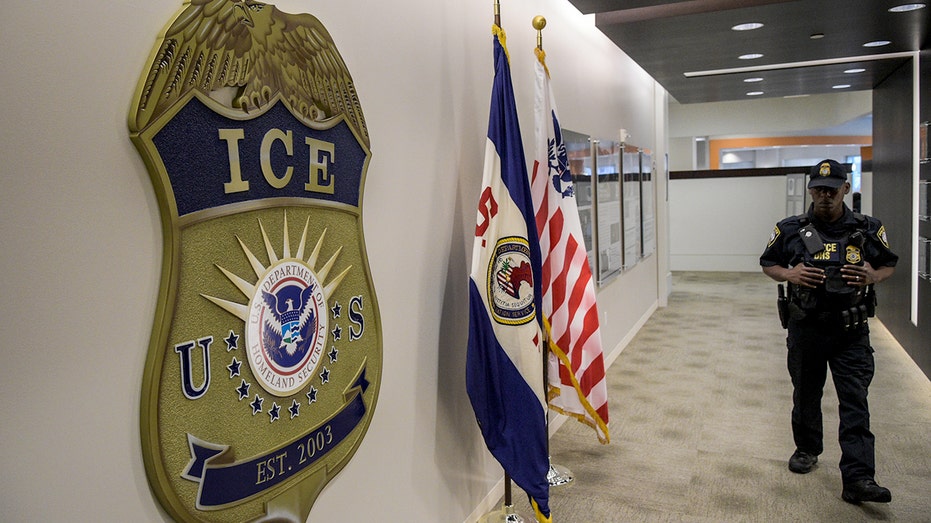 ‘Worst of the worst’ snared: ICE nabs illegal immigrants convicted of horrific crimes