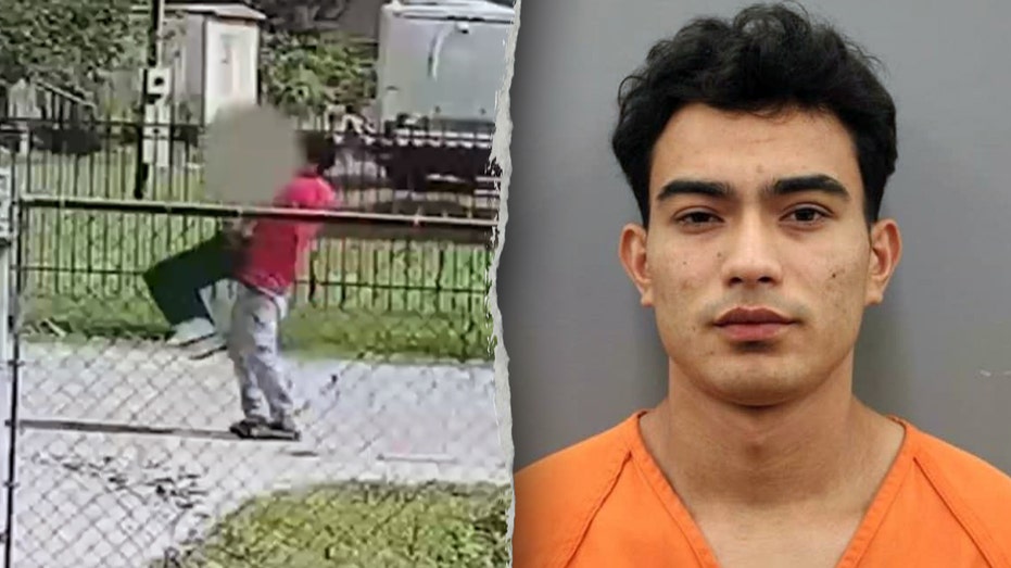 Chilling video allegedly shows illegal migrant dragging screaming sex trafficking victim back to captivity