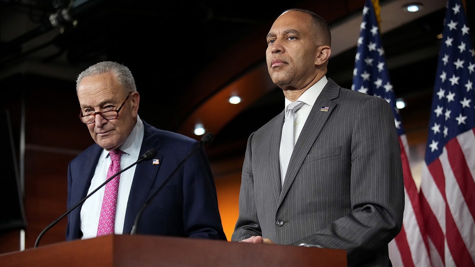 Political analyst says Democrats are already worried about the 'big problem' of winning back voters for 2028