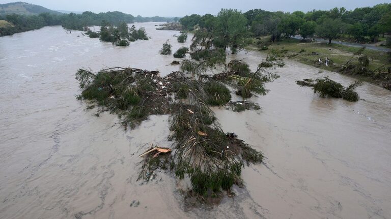 Texas family helps rescue woman clinging to tree after being swept 20 miles downriver