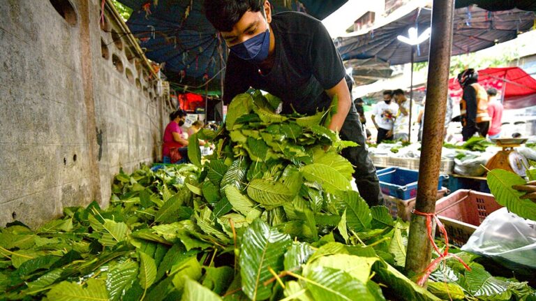 Deadly substance under scrutiny as kratom byproduct shows up in gas stations, smoke shops