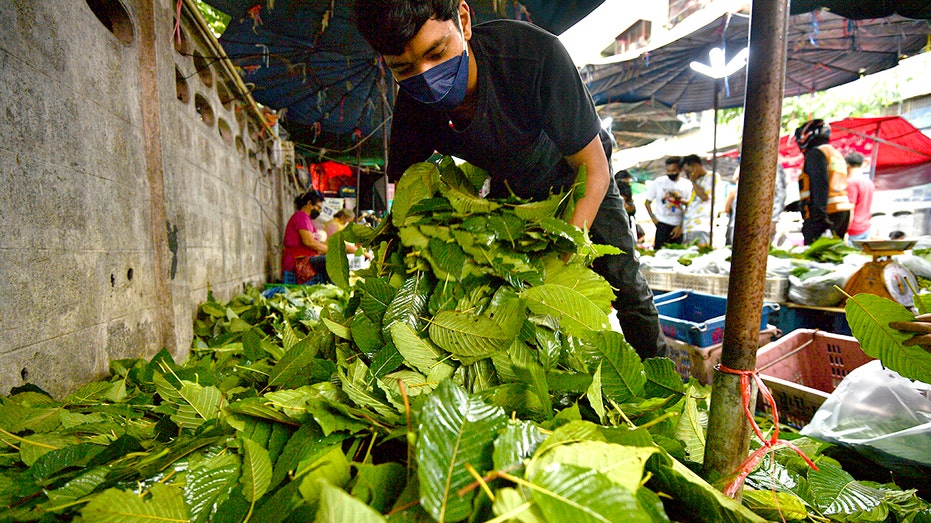 Deadly substance under scrutiny as kratom byproduct shows up in gas stations, smoke shops