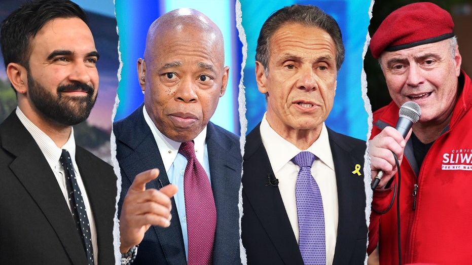 The plot to stop Mamdani: Democrats scramble to block far-left takeover in New York