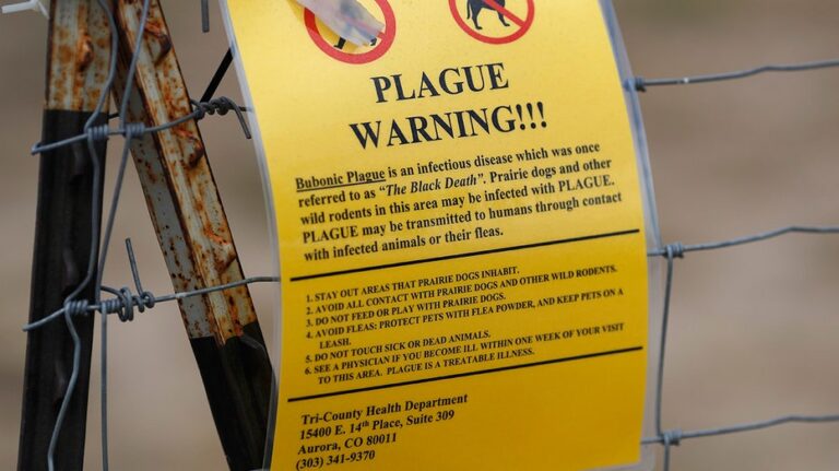Arizona resident dies of pneumonic plague, the first deadly case in area in nearly 20 years