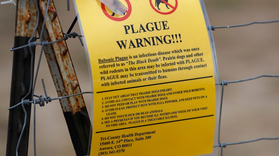 Arizona resident dies of pneumonic plague, the first deadly case in area in nearly 20 years