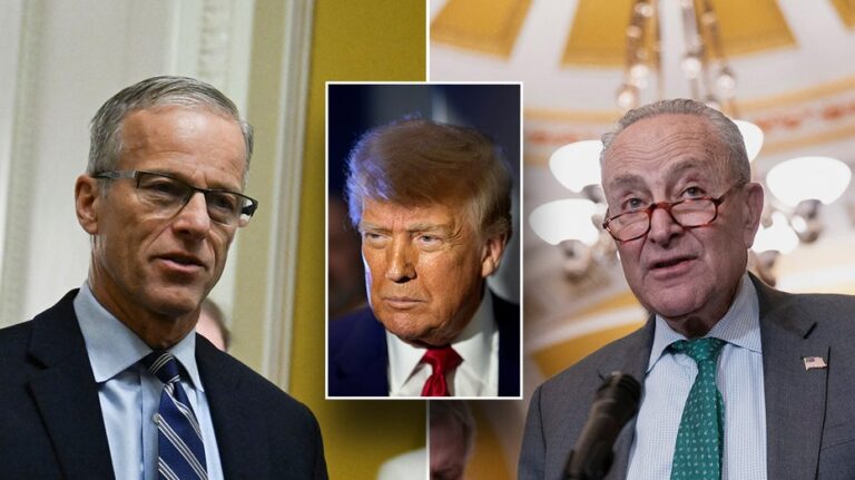 Key Trump nominees stalled by Senate Dems puts pressure on GOP leaders
