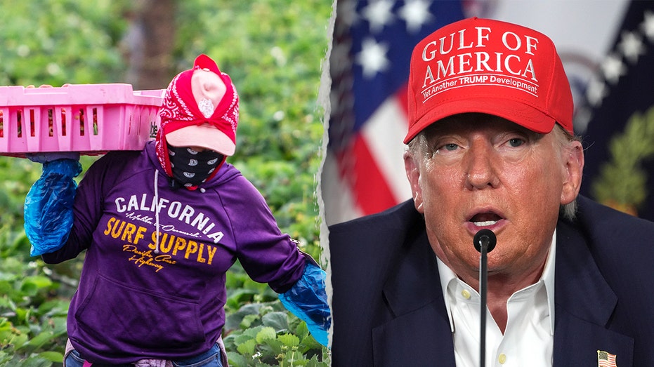 Trump pitches plan allowing farmers to vouch for illegal immigrant workers facing deportation