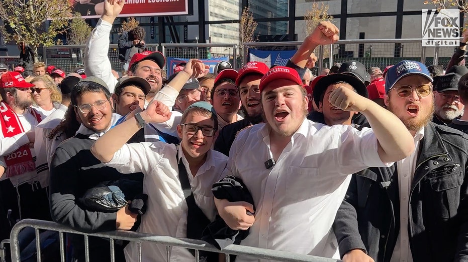 Democrats' 'massive blind spot' on male voters exposed by New York Times columnist