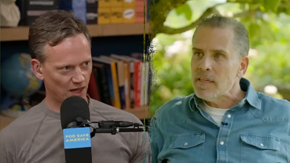 Obama aides brutally mock Hunter Biden 'playing the victim' in tirade against Democratic elite