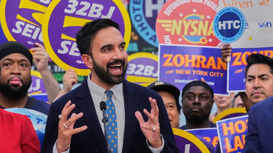 Dem rep slams Zohran Mamdani as a 'job-killing socialist' who doesn't belong in the Democratic Party
