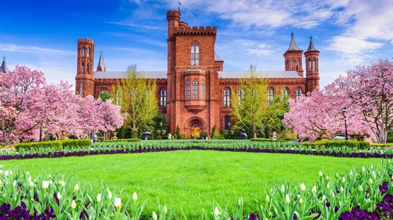 LIZ PEEK: Trump declares war on woke—and this beloved museum is in his crosshairs