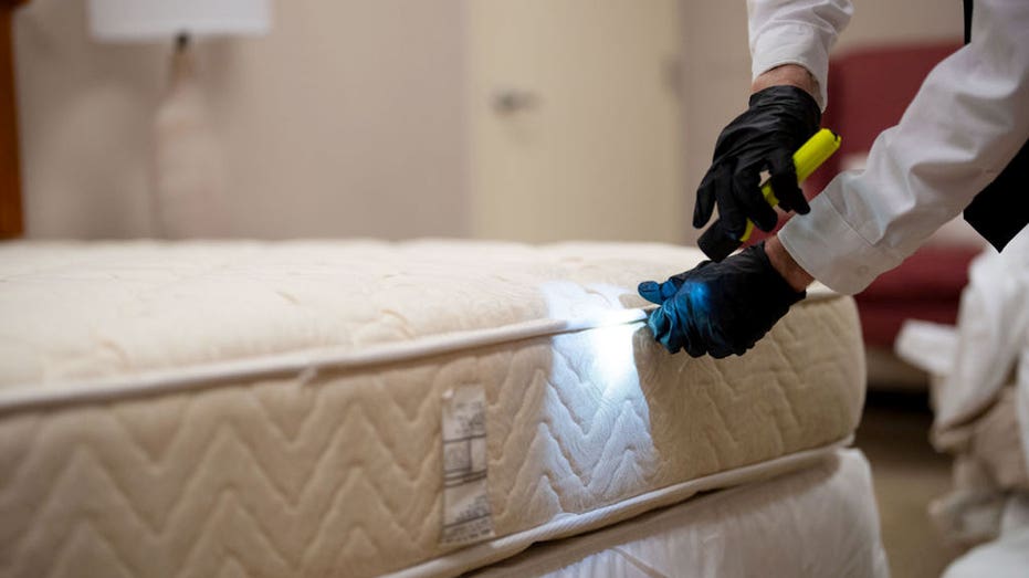 Major Midwest city tops bedbug infestation list for fifth consecutive year