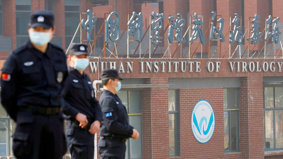 Former Washington Post fact-checker admits he 'screwed up' on COVID-19 lab leak theory