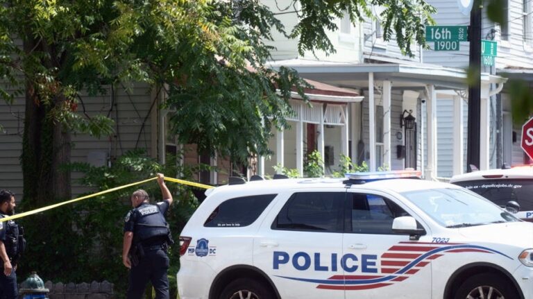 MSNBC contributor voices alarm on DC crime, says issue is 'personal' and many are frustrated