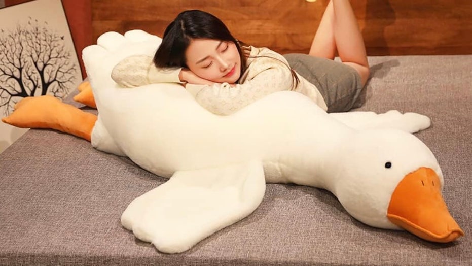 The 15 weirdest things you can buy on Amazon