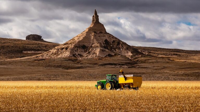 Agriculture is the answer to America’s junk food crisis