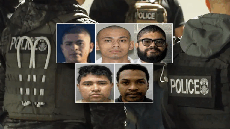 Child sex abuser, gang member among latest arrests as DHS slams sanctuary politicians