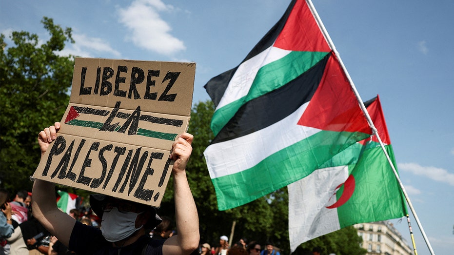 France to deport Palestinian woman over antisemitic post featuring Hitler, halts Gaza evacuations