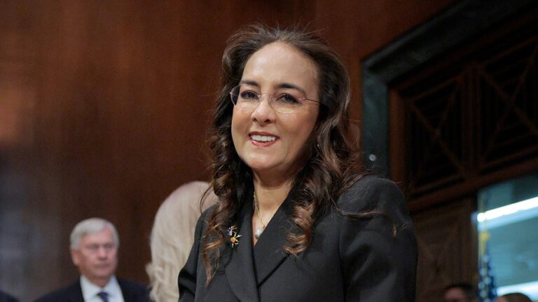 Harmeet Dhillon says 'malodorous homeless person' tried to steal her phone in DC