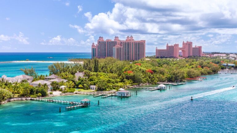 American tourist attacked by shark in vacation hot spot