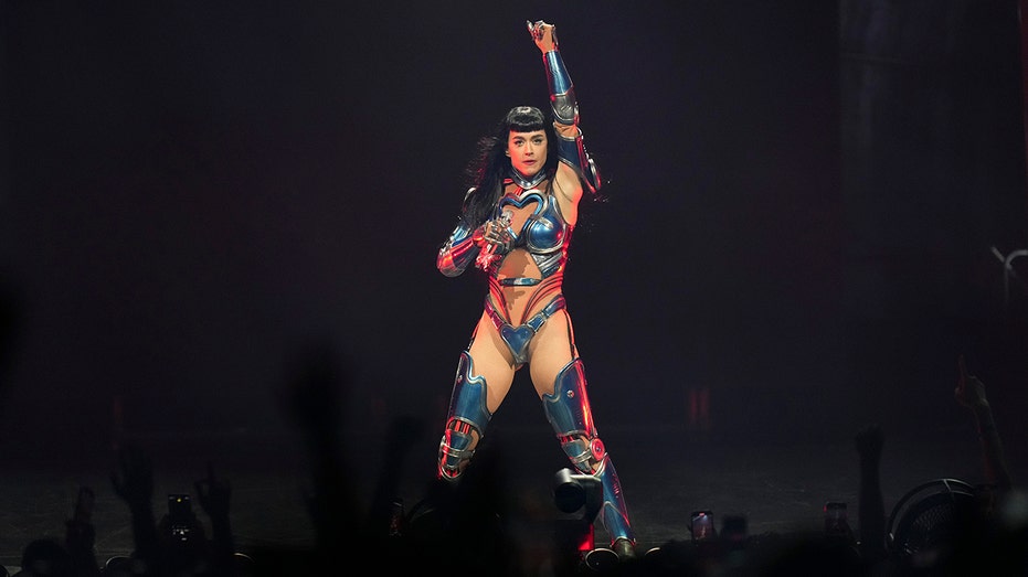 Katy Perry stops Detroit concert after young fan collapses on stage