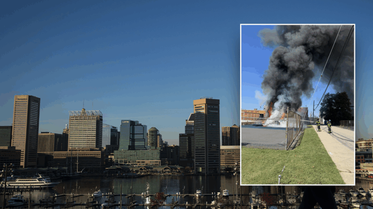 Juvenile crime torments Dem-run city where kids charged in playground arson, Trump threatens federal cleanup