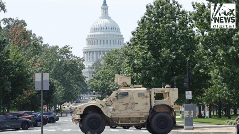 National Guard rollout in 19 states not linked to Trump’s crime crackdown, WH says