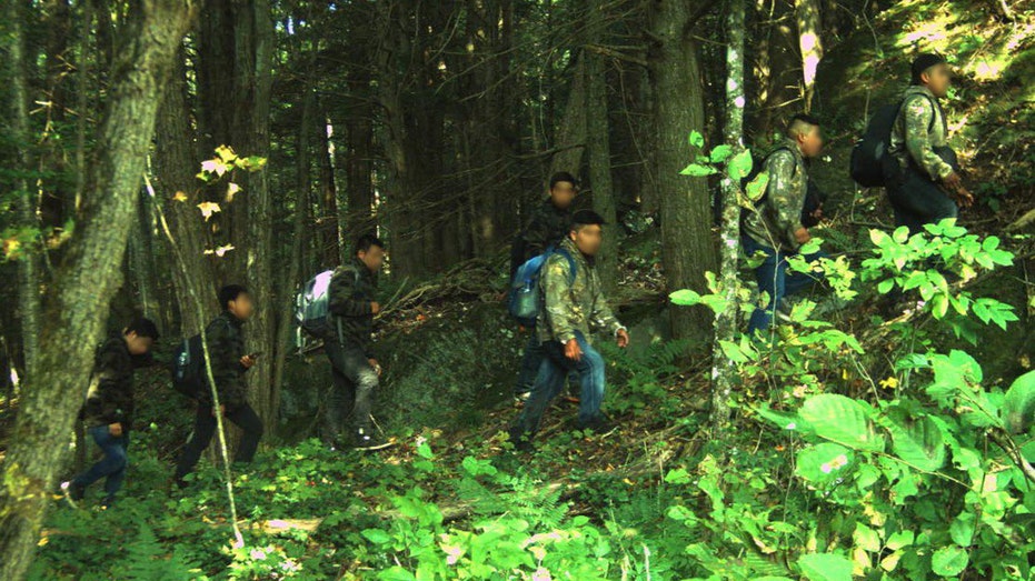 US northern border smuggling creates 'shopping grounds' for migrants to sanctuary communities: attorney