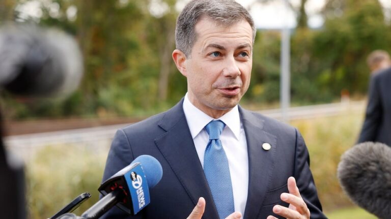 Buttigieg says Democrats would be smart to follow one of Trump's 'pro-family' campaign promises
