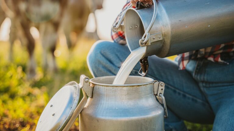 Raw milk from Florida farm sickens 21 people, including 6 children, health officials say