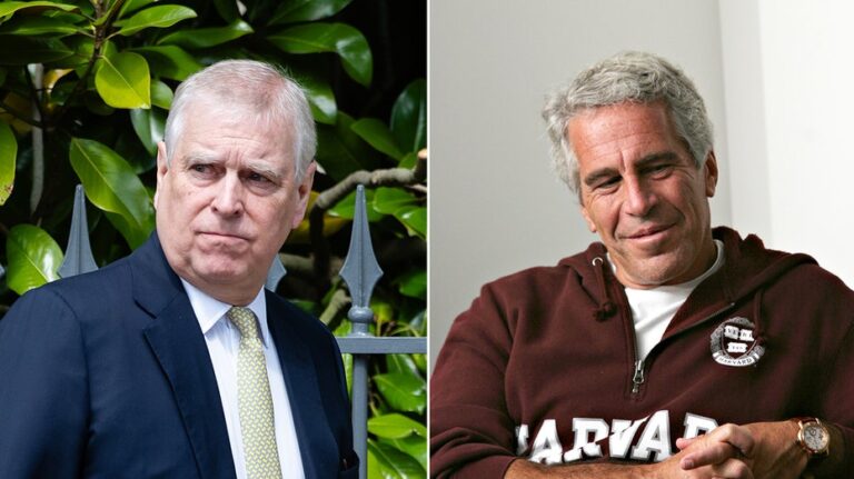 Prince Andrew, Jeffrey Epstein’s friendship fueled by ‘money and sex’: author