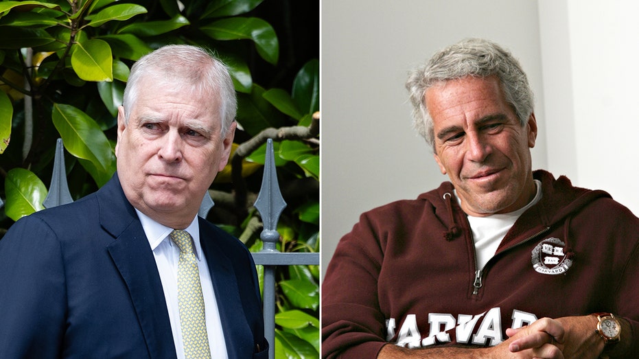 Prince Andrew, Jeffrey Epstein’s friendship fueled by ‘money and sex’: author