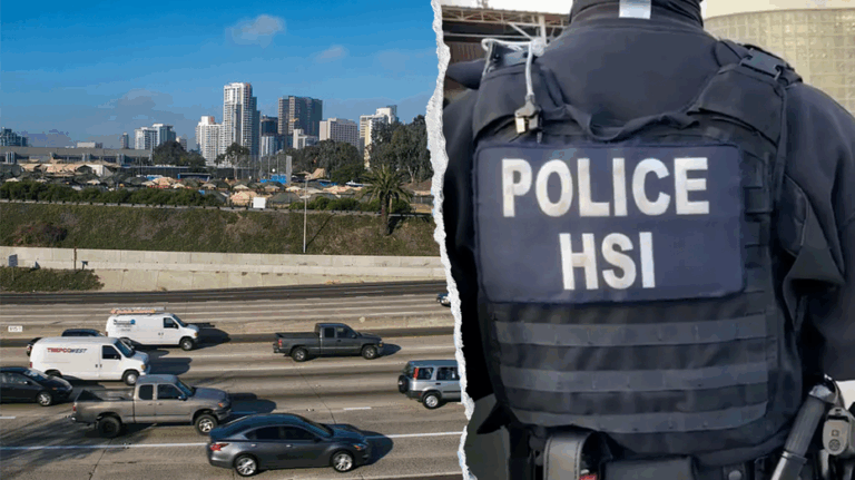 Illegal immigrant charged for allegedly ramming truck into federal officers in California