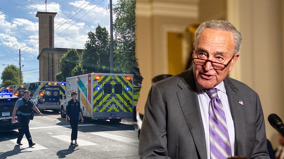 'Weapons of war': Dem lawmakers call for gun control after Minneapolis school shooting
