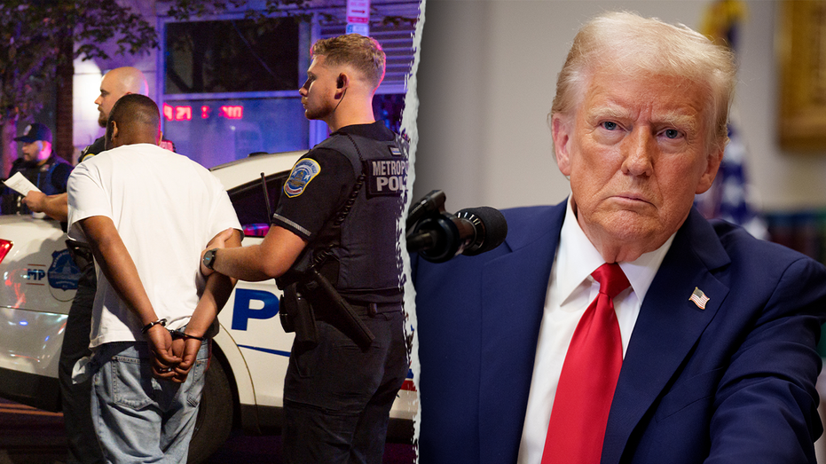 81% of Americans see crime as a 'major problem' in big cities, new poll shows
