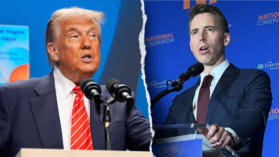 WATCH: Trump ‘wants to get' stock-trading ban done, Hawley insists after president's brutal attack on bill