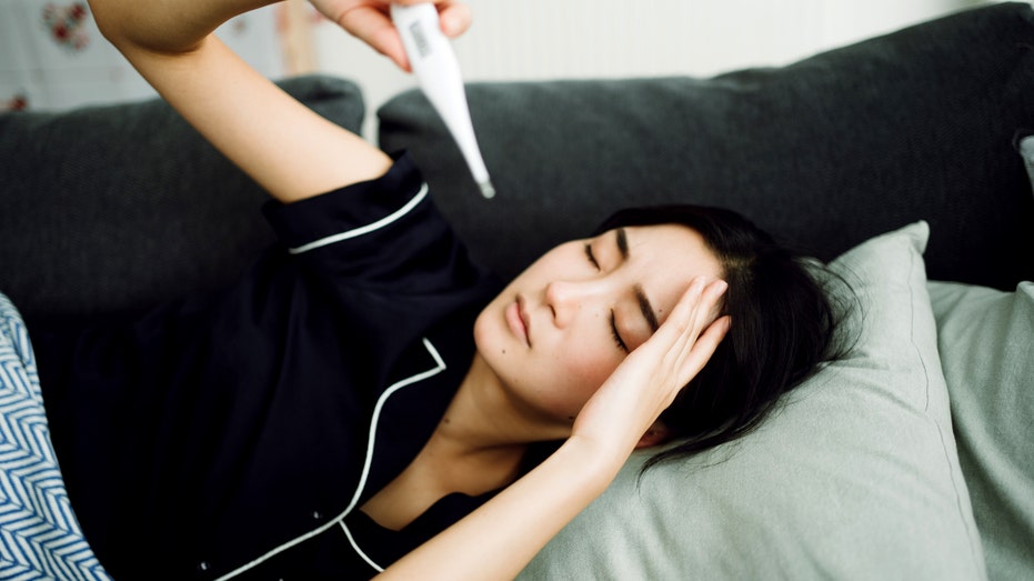 Mosquito-borne virus spreading through China causes high fever, joint pain