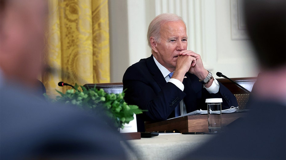 Democratic donors reluctant to give to Biden's presidential library: report