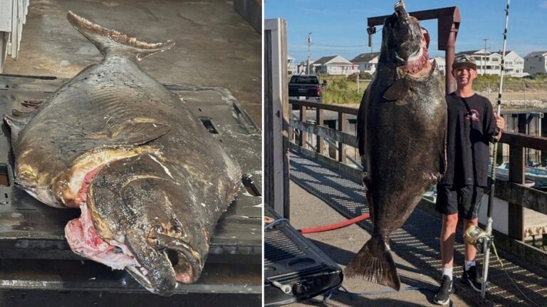 New Hampshire teen reels in 177-pound halibut, could set record