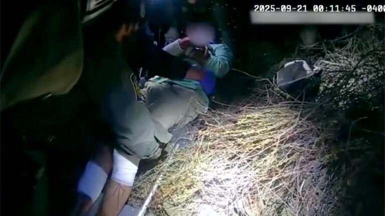 Border Patrol agents rescue cyclist who fell 'more than 50 feet' into remote canyon