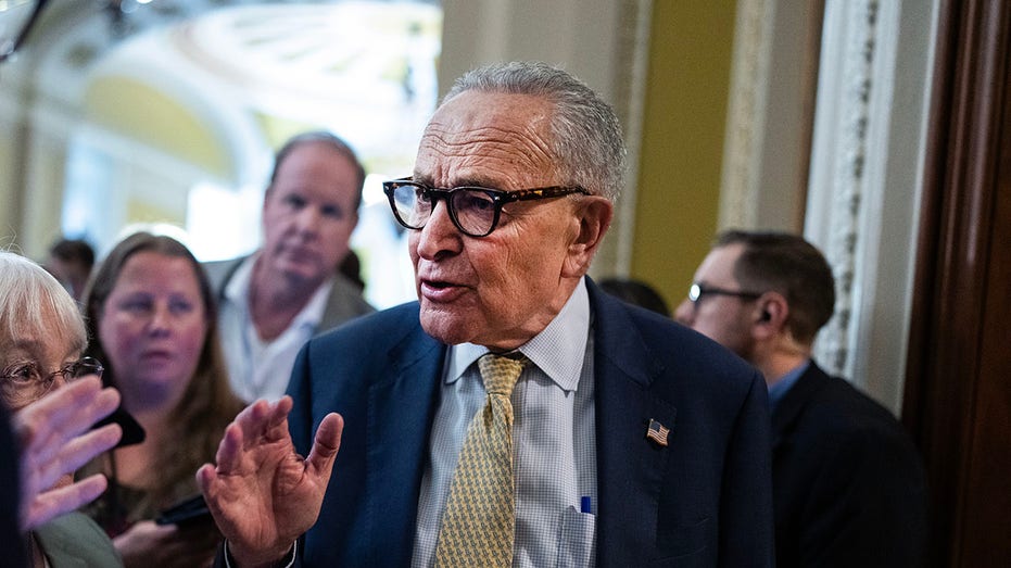 Schumer silent as Van Hollen blasts 'spineless' NY Democrats over Mamdani snub