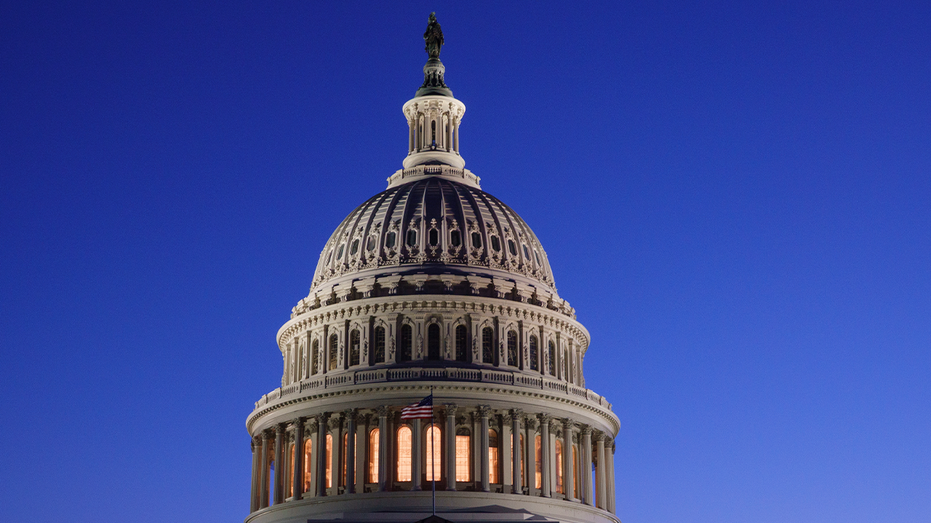 EXCLUSIVE: New DC watchdog aims to become 'leading voice' for conservative values, effective governance