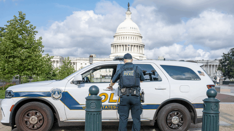 Scalise hints GOP may push nationwide crime crackdown after DC overhaul