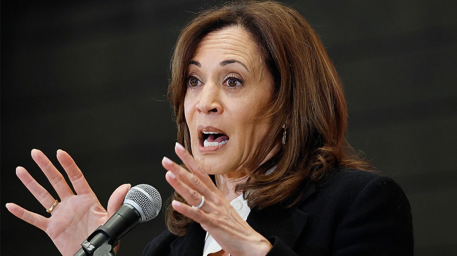 Harris tells 'The View' she 'didn’t have enough time’ to win 2024 presidential race