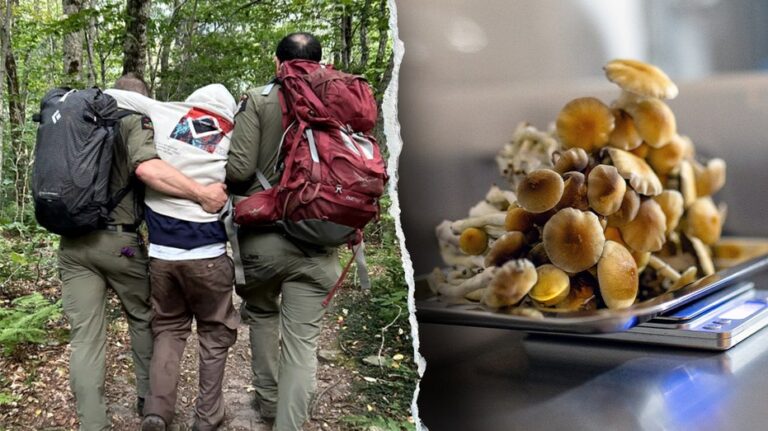 Four hikers on psychedelic mushrooms rescued in popular mountain destination